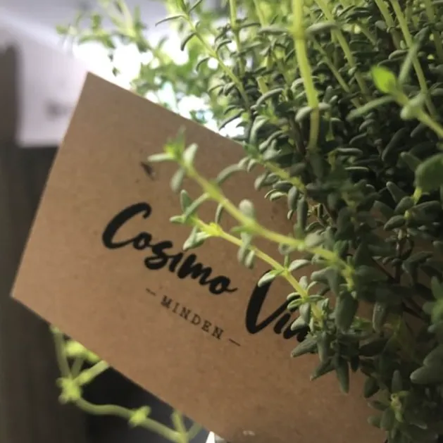 Impression aus dem Cosimo Vini